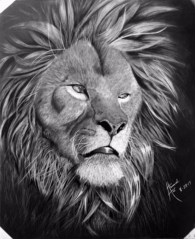 784x960 Products Archive Oil Paintings Shop - Black Lion Painting