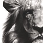 150x150 African Lion Original Oil Painting Wildlife Artist Eric Sweet - Black Lion Painting