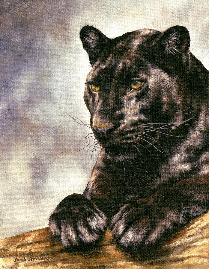 697x900 Black Panther Painting By Sarah Stribbling - Black Panther Painting