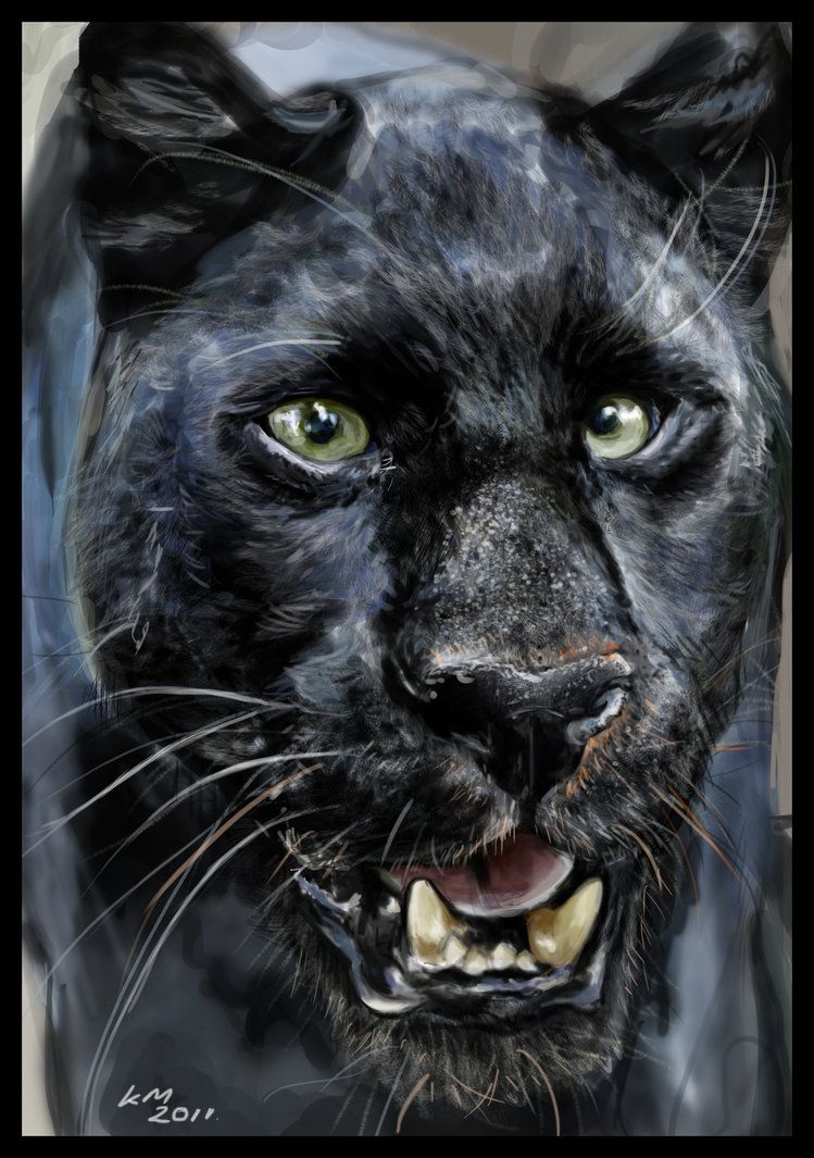 749x1065 Stunning Black Panther Painting ! The Amazing Wild Nature - Black Panther Painting