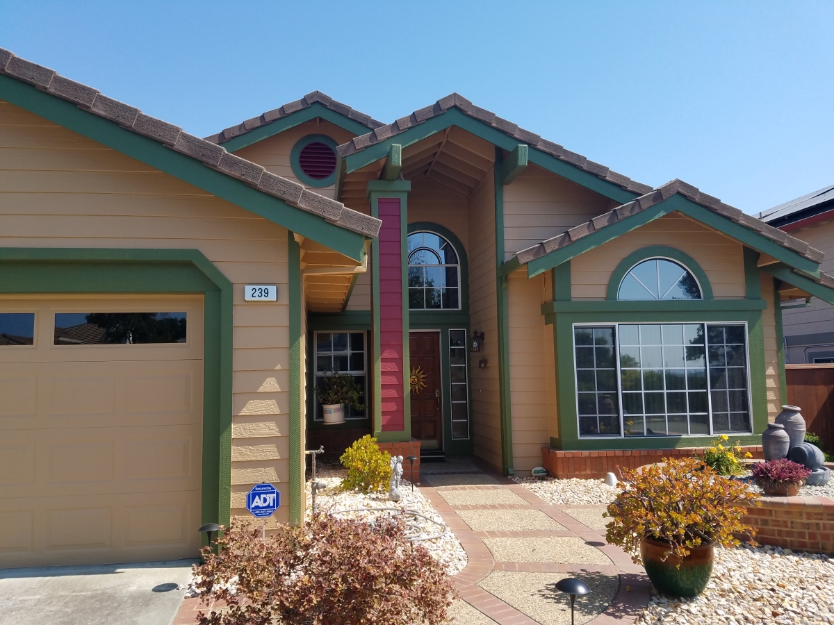 1200x900 Work Gallery Black Pearl Painting San Francisco - Black Pearl Painting