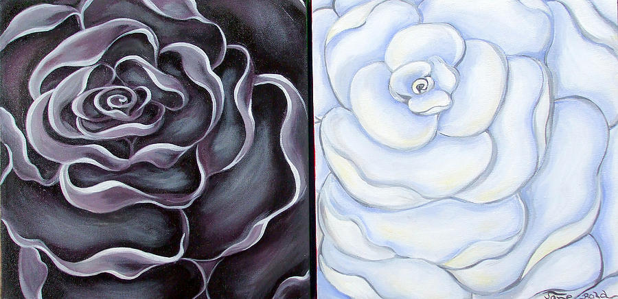 900x436 Black Rose White Rose Painting By Jane Bold - Black Rose Painting
