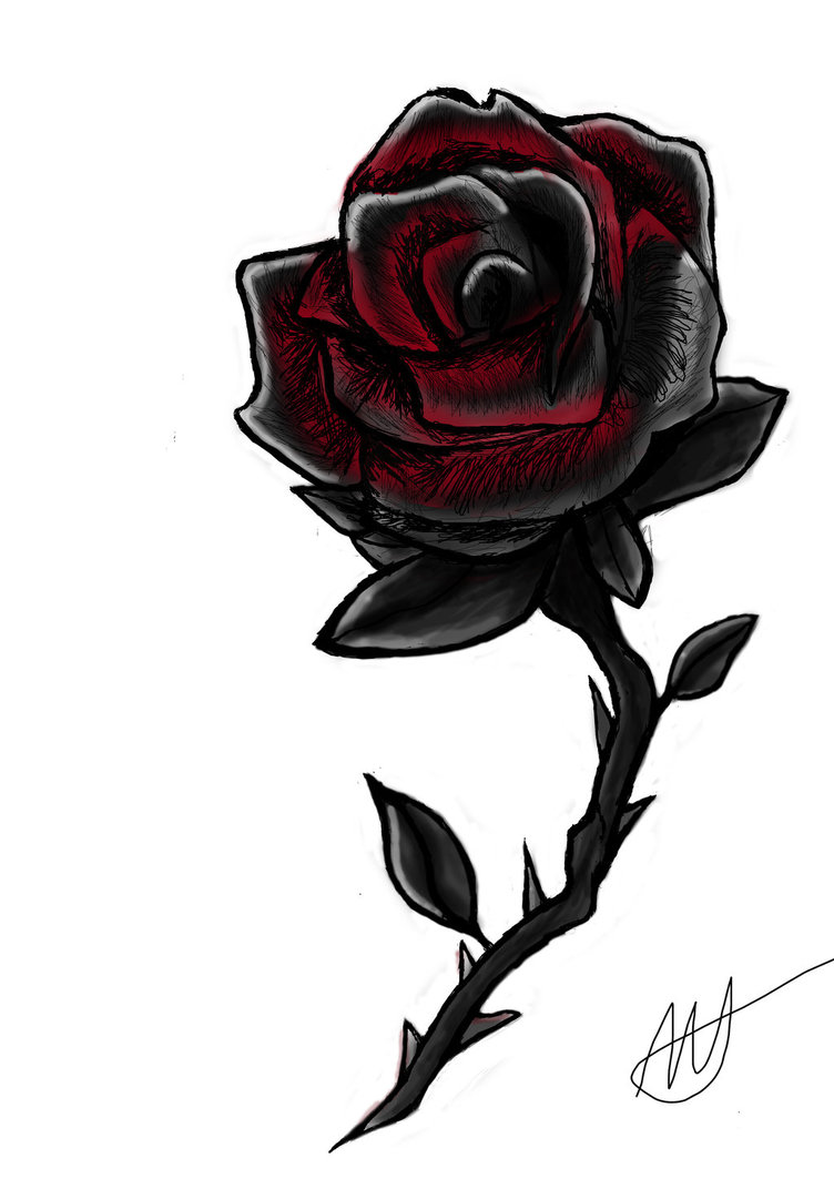 752x1063 Black Rose By Pann Ash Designs - Black Rose Painting
