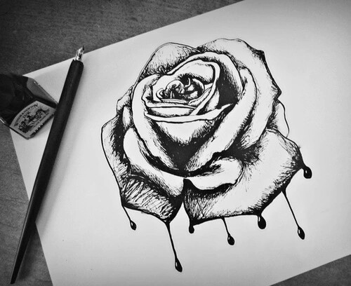 500x408 I Dream My Painting And I Paint My - Black Rose Painting