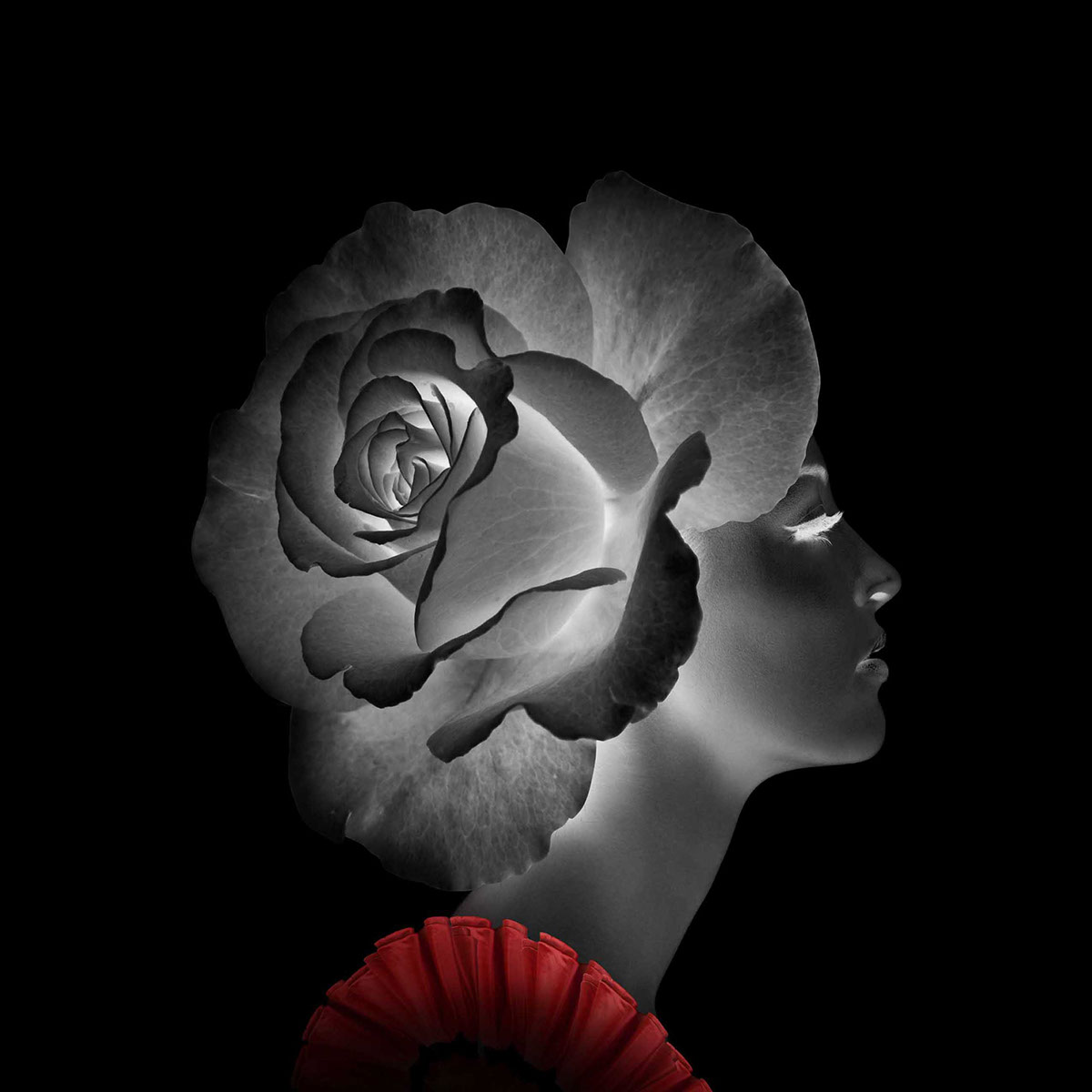 1200x1200 Black Rose Digital Painting In Photoshop On Behance - Black Rose Painting