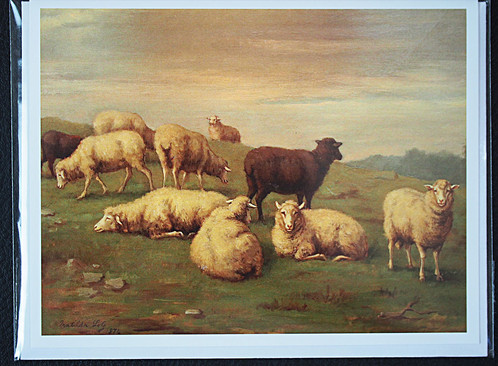 498x366 Note Card Matilda Lotz Original Painting - Black Sheep Painting