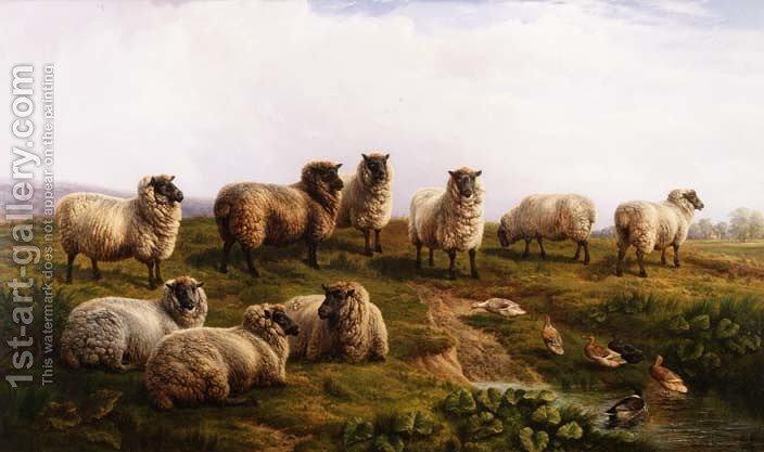 704x417 Welsh Black Faced Sheep Charles Jones Reproduction 1st Art Gallery - Black Sheep Painting