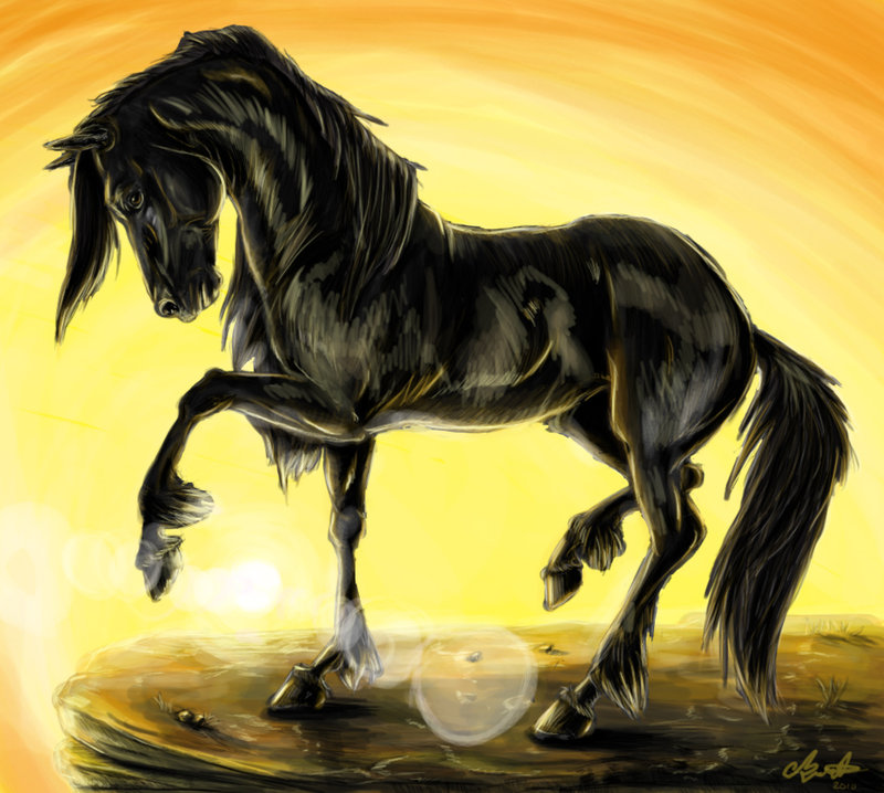 800x718 Black Stallion By Aoikita - Black Stallion Painting