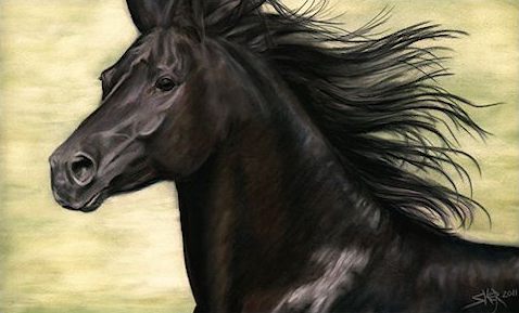 478x289 Horse Paintings Wolf Paintings Wildlife Art Nature Amp Storm - Black Stallion Painting