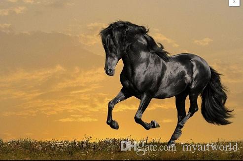 493x326 2018 Framed Jet Black Horse Running In A Meadow,genuine Hand - Black Stallion Painting