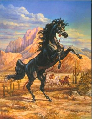 294x380 Shary B. Akers Equine Art The Black Stallion - Black Stallion Painting