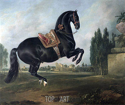 400x338 A Black Horse Performing The Courbette Johann Georg Hamilton - Black Stallion Painting