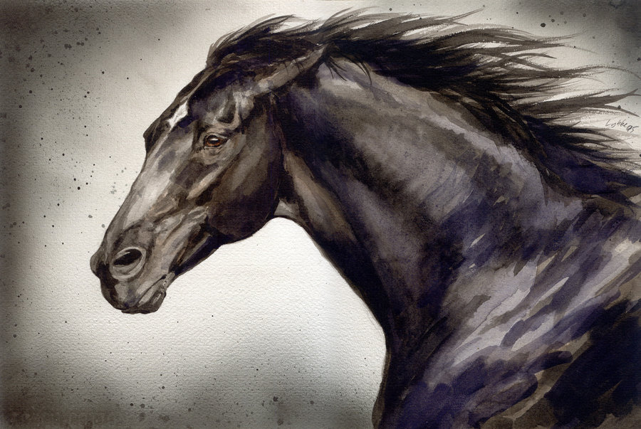 900x603 Black Horse By Lykkebianca - Black Stallion Painting