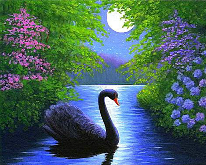 700x560 Diamond Embroidery Scenery Icon 5d Diy Diamant Painting Cross - Black Swan Painting