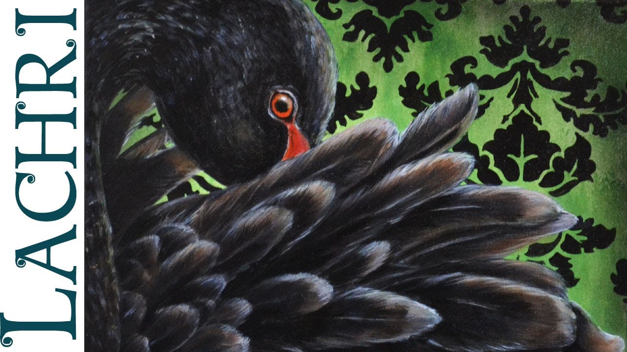 1280x720 Speed Painting Black Swan In Oil Over Acrylic - Black Swan Painting
