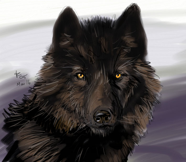 709x617 Black Wolf By Rwolf - Black Wolf Painting
