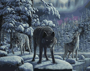 300x237 Black Wolf In Snow 16x20 Diy Acrylic Paint By Number Kit Oil - Black Wolf Painting
