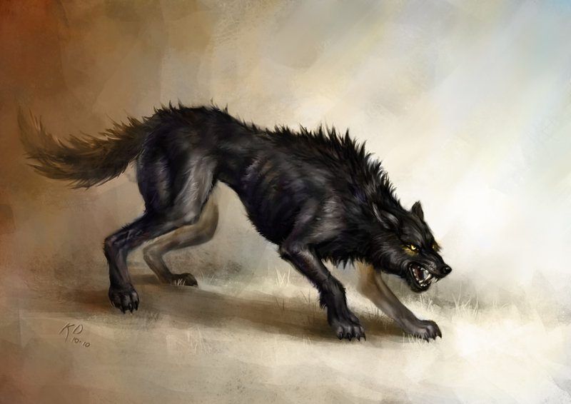 800x566 Black Wolf By Kimdingwall - Black Wolf Painting