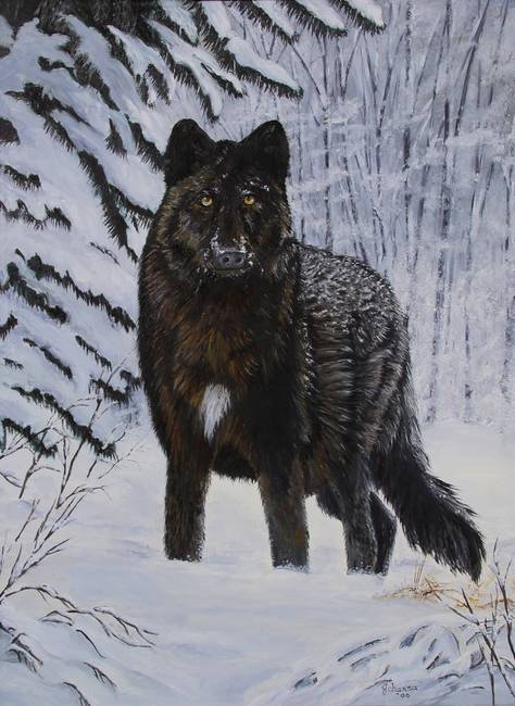 474x650 Stunning Black Wolf Paintings Artwork For Sale On Fine Art Prints - Black Wolf Painting