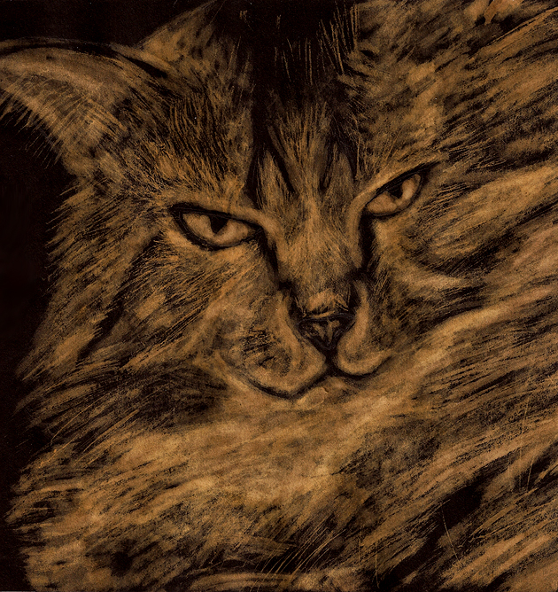 630x668 Grady - Bleach Painting