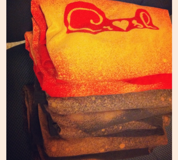 600x540 Project Ideas Using Bleach In Spray Bottle - Bleach Painting