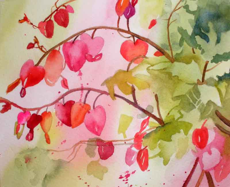 800x648 Kaysmithbrushworks Bleeding Hearts - Bleeding Heart Flower Painting