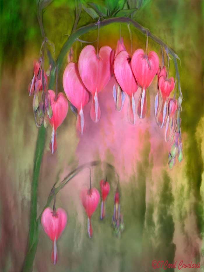 700x933 Language Of Flowers Series Tree Of Bleeding Hearts Digital Art - Bleeding Heart Painting