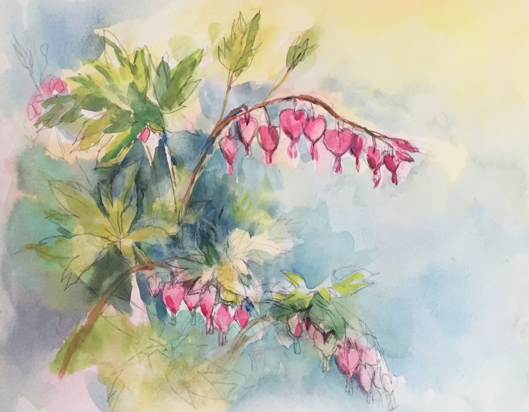 1800x1404 Bleeding Heart - Bleeding Heart Painting