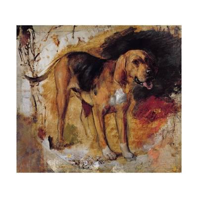 400x400 A Study Of A Bloodhound, 1848 Giclee Print By William Holman Hunt - Bloodhound Painting