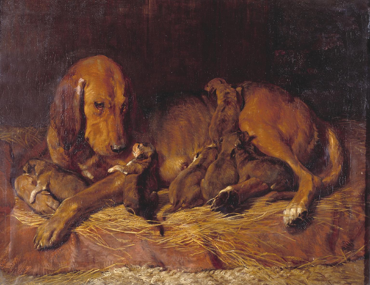 1536x1184 Bloodhound And Pups', Charles Landseer, Exhibited 1839 Tate - Bloodhound Painting