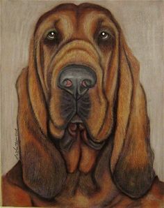 236x298 Bloodhound Dog Portrait Canvas Print Of La Shepard Painting 8x10 - Bloodhound Painting
