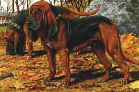 200x133 Bloodhounds - Bloodhound Painting