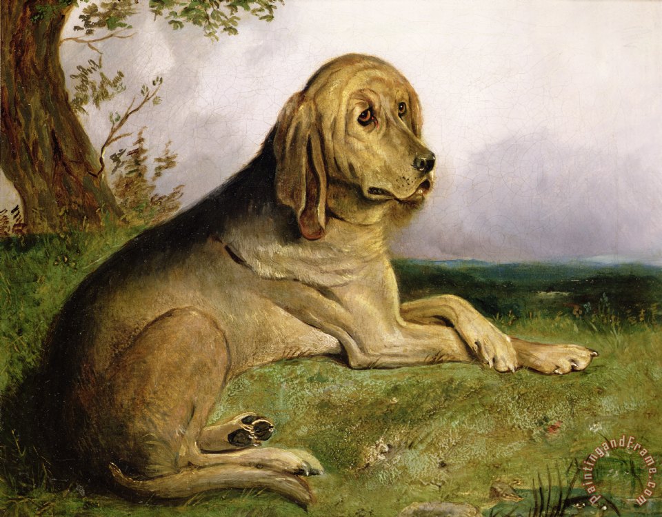 960x750 English School A Bloodhound In A Landscape Painting - Bloodhound Painting