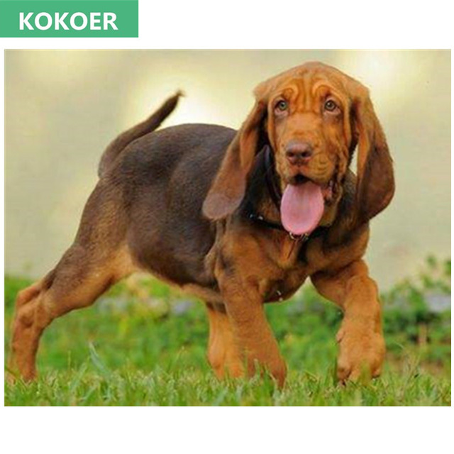 640x640 Full,diamond Embroidery,5d,diamond Painting,animal Bloodhound Dog - Bloodhound Painting