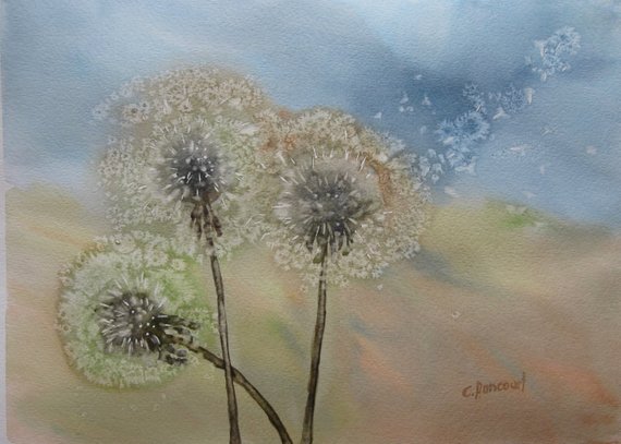 570x407 Dandelion Watercolour. Blowing Dandelion Seed Painting. - Blowing Dandelion Painting