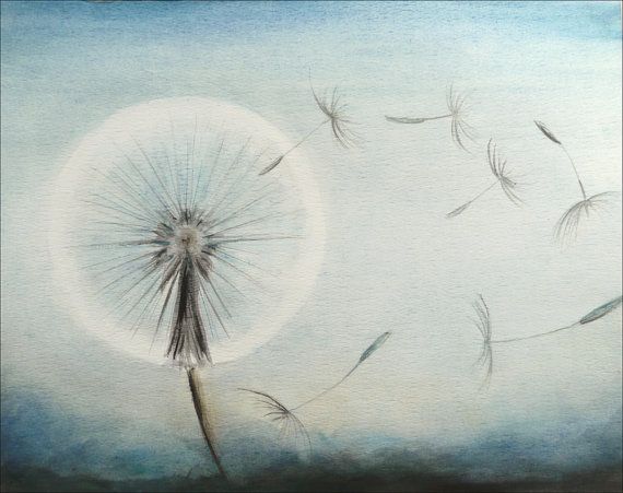 570x451 Original Watercolor Painting Dandelion Seeds Blowing In By Artdora - Blowing Dandelion Painting