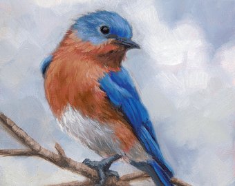 340x270 Bluebird Painting Etsy - Blue Bird Painting