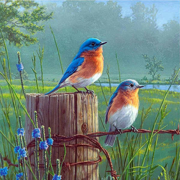 600x600 Diamond Embroidery Scenery Picture 5d Diy Diamond Painting Cross - Blue Bird Painting