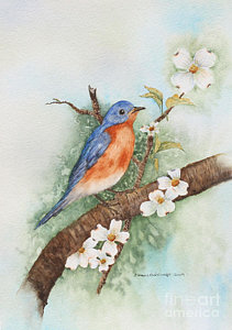 211x300 Eastern Bluebird Painting By Grace Ashcraft - Blue Bird Painting
