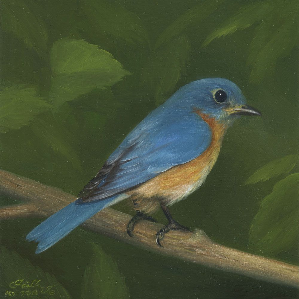 1000x1000 Blue Bird Paintings Bluebird - Blue Bird Painting