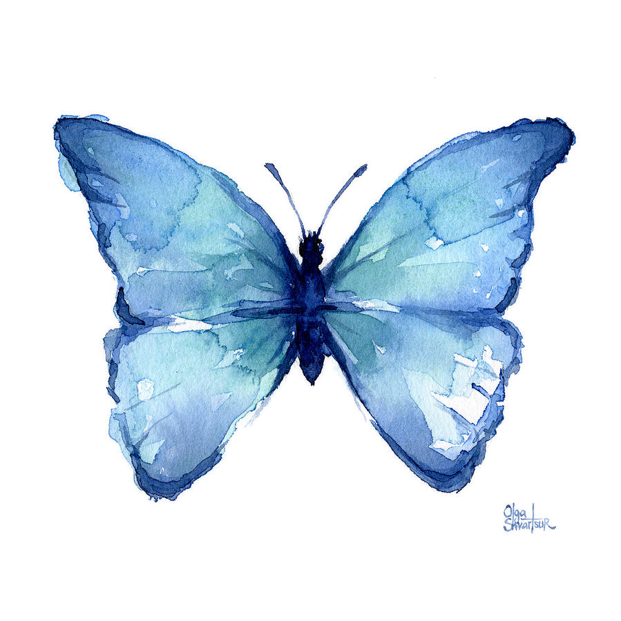 899x900 Blue Butterfly Watercolor Painting By Olga Shvartsur - Blue Butterfly Painting
