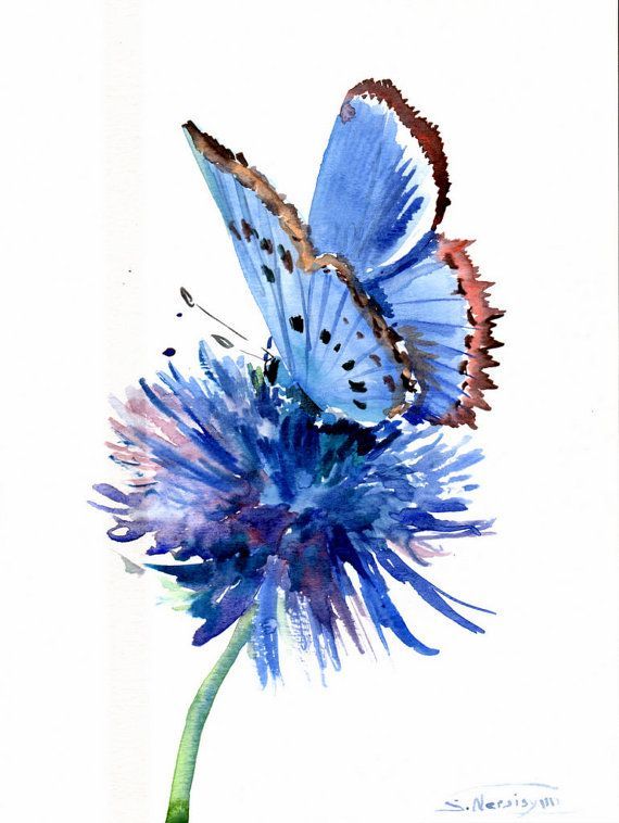 570x758 Blue Butterfly On The Blue Flower, Original Watercolor Painting - Blue Butterfly Painting