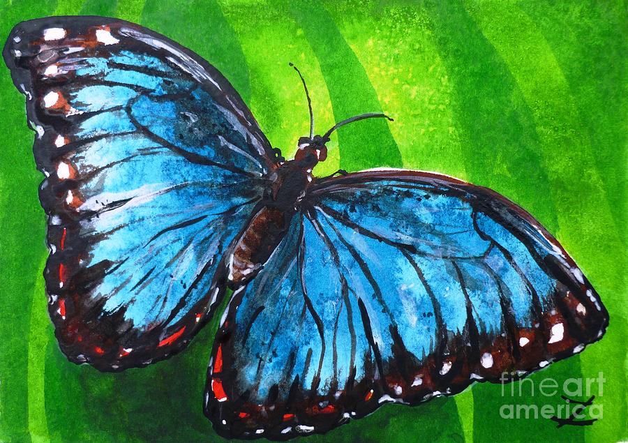 900x635 Blue Morpho Butterfly Painting By Zaira Dzhaubaeva - Blue Butterfly Painting