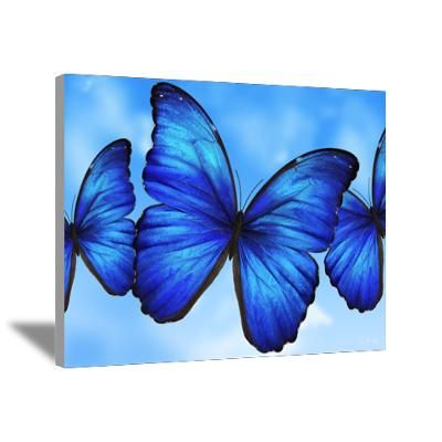 400x400 Blue Butterfly Painting Art Cafepress Gt Wall Art Gt Canvas Art - Blue Butterfly Painting