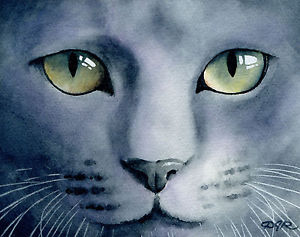 300x237 Gray Cat Painting Russian Blue 11 X 14 Art Print Signed By Artist - Blue Cat Painting