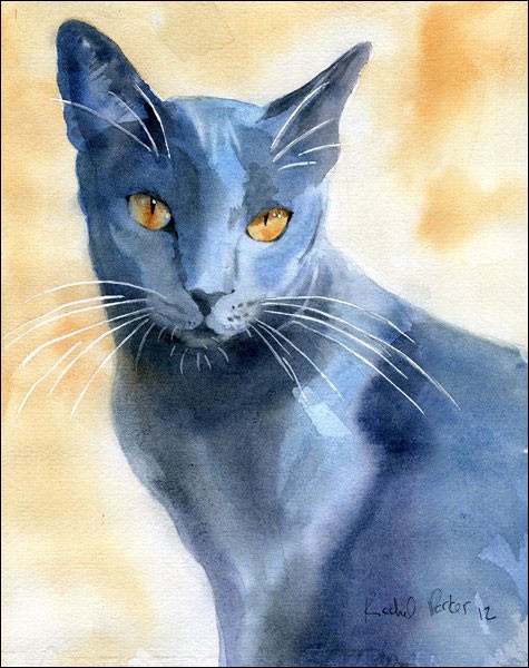 475x600 Knowing Blue Cat Other Voices Medium - Blue Cat Painting