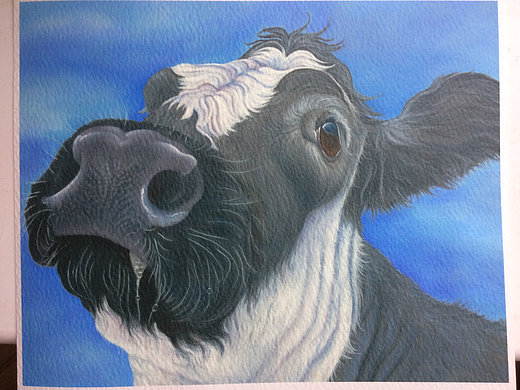 520x390 Dorothy The British Blue Cow Painting - Blue Cow Painting