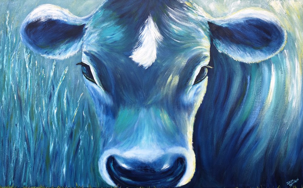1000x620 Gallery Jaycee Bannigan Art - Blue Cow Painting