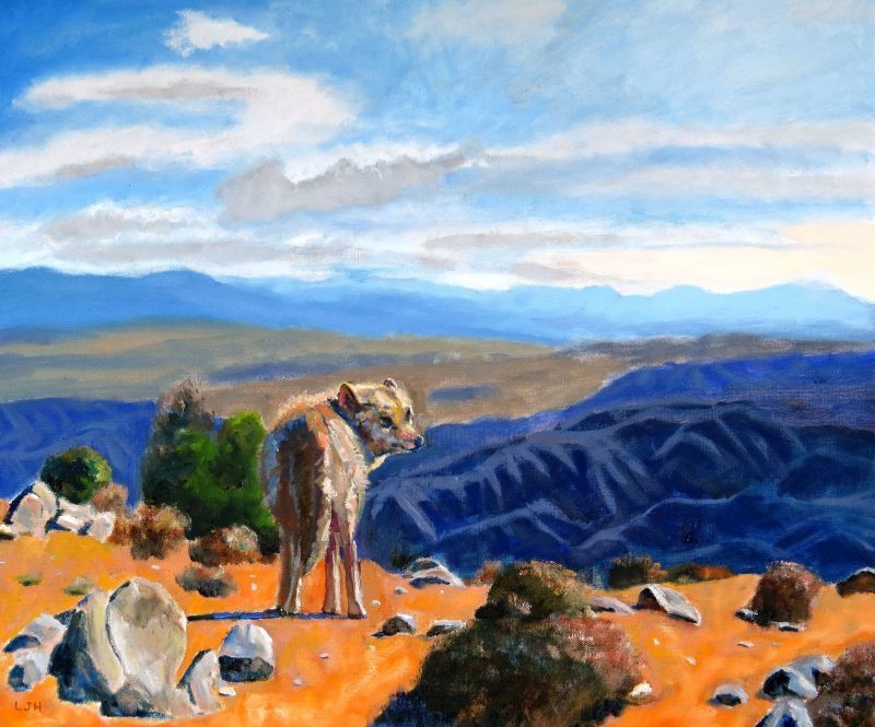 800x665 Desert Coyote (Herscovitch Larry) - Blue Coyote Painting