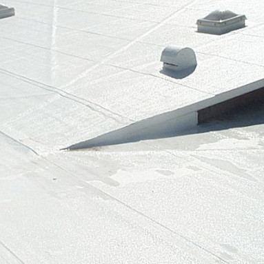 383x383 Blue Coyote Painting Contractors Services From House Painting - Blue Coyote Painting